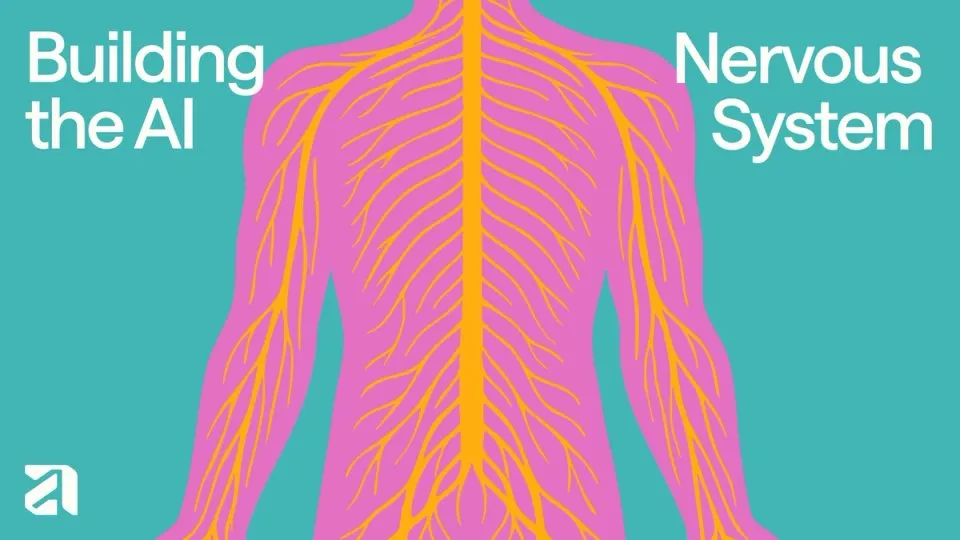 Building a nervous system is really hard